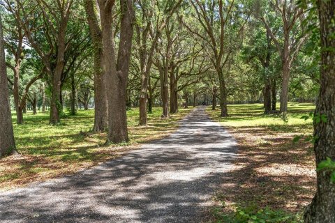 Villa ou maison à louer à Morriston, Floride: 40.13 m2 № 1750277 - photo 2