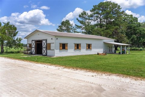 Villa ou maison à louer à Morriston, Floride: 40.13 m2 № 1750277 - photo 5