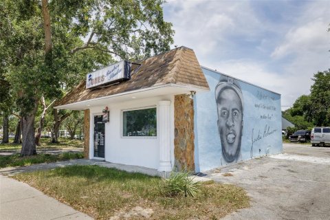 Propiedad comercial en alquiler en Saint Petersburg, Florida № 1829711 - foto 7