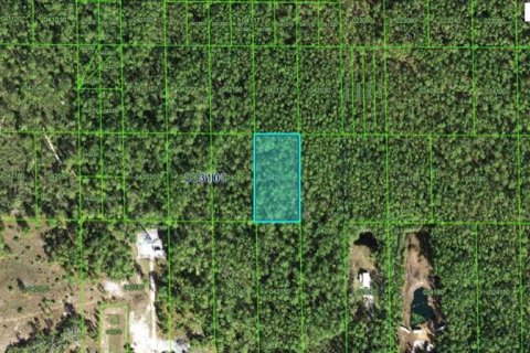 Terreno en Lake Wales, Florida № 2235009