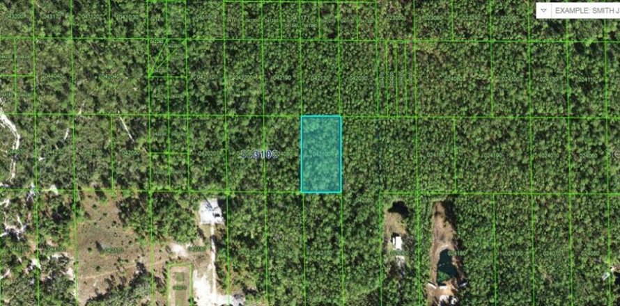 Terreno en Lake Wales, Florida № 2235009