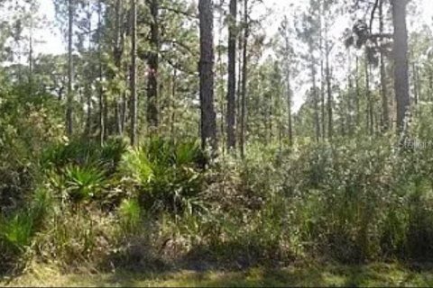 Terreno en venta en Lake Wales, Florida № 2235009 - foto 2