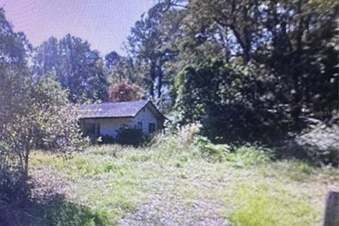 Land in Caryville, Florida № 2149244