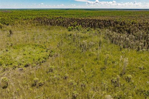 Land in Naples, Florida № 1900498 - photo 13