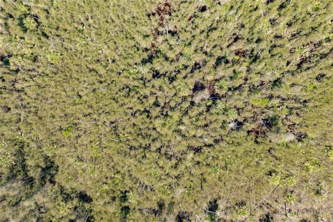 Land in Naples, Florida № 1900498 - photo 9
