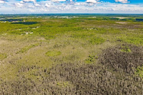 Land in Naples, Florida № 1900498 - photo 4