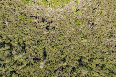 Land in Naples, Florida № 1900498 - photo 8