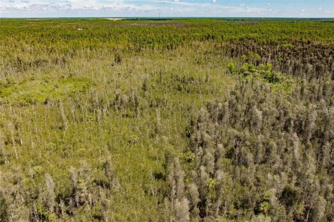 Land in Naples, Florida № 1900498 - photo 12