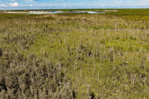 Land in Naples, Florida № 1900498 - photo 11