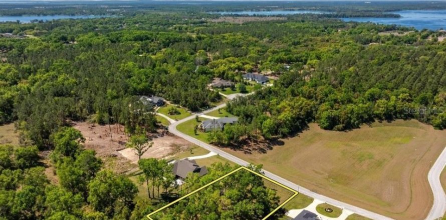 Terrain à Mount Dora, Floride № 2218979