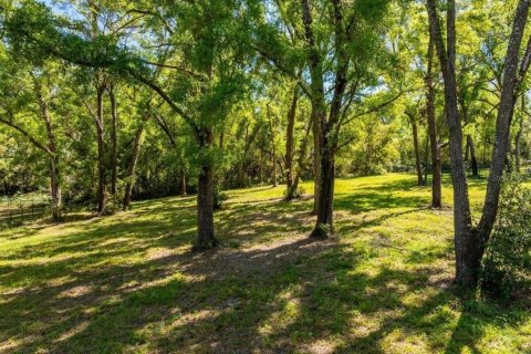 Terrain à vendre à Mount Dora, Floride № 2218979 - photo 6