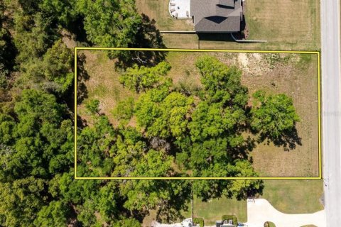 Terrain à vendre à Mount Dora, Floride № 2218979 - photo 7