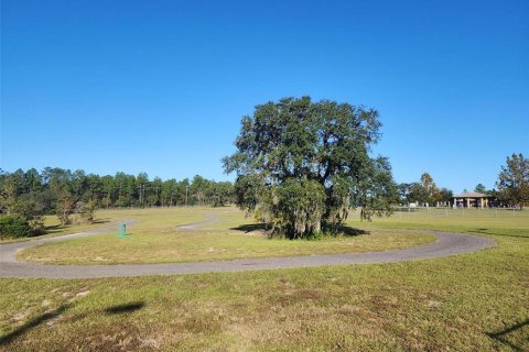 Villa ou maison à vendre à Dunnellon, Floride: 3 chambres, 129.51 m2 № 1831325 - photo 7