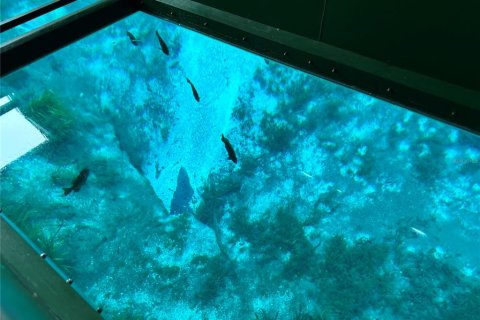 Land in Silver Springs Shores, Florida № 1690750 - photo 22