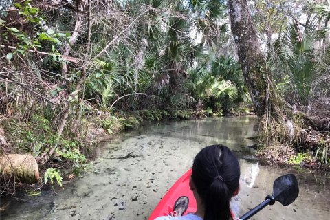 Land in Silver Springs Shores, Florida № 1690750 - photo 20