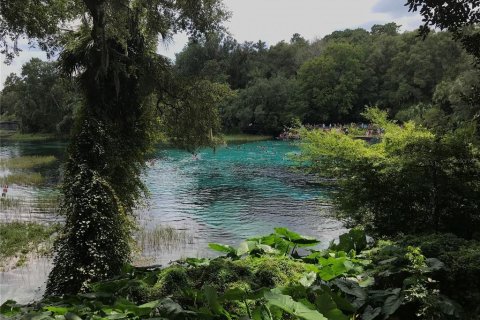 Land in Silver Springs Shores, Florida № 1690750 - photo 24