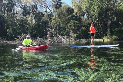 Land in Silver Springs Shores, Florida № 1690750 - photo 23