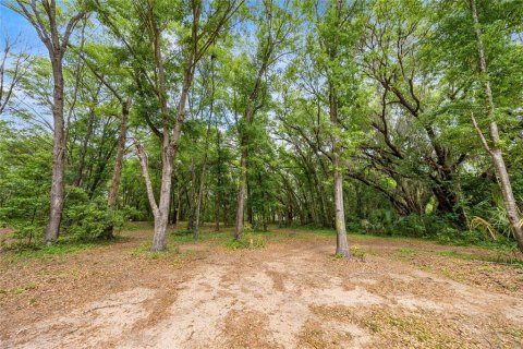House in Summerfield, Florida 4 bedrooms, 178.19 sq.m. № 2123299 - photo 6