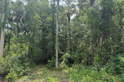 Terreno en venta en Sorrento, Florida № 1765701 - foto 2