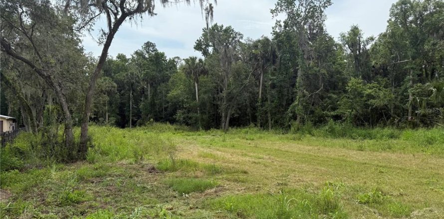 Terreno en Sorrento, Florida № 1765701