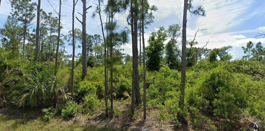 Land in Port Charlotte, Florida № 2212561
