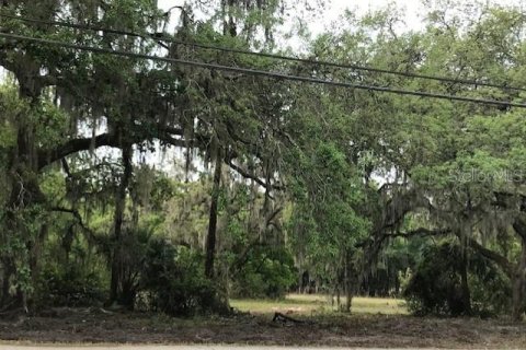 Terrain à vendre à Thonotosassa, Floride № 2413854 - photo 3