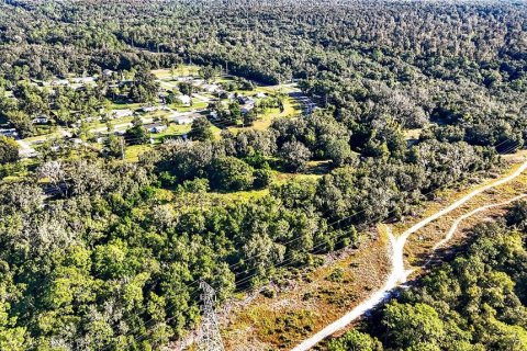 Terrain à vendre à Thonotosassa, Floride № 2413854 - photo 6