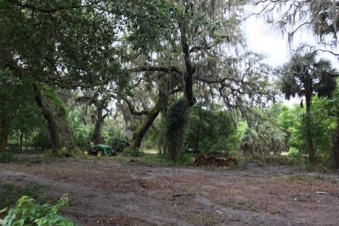 Terrain à vendre à Thonotosassa, Floride № 2413854 - photo 5