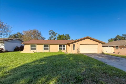 House in Brandon, Florida 3 bedrooms, 147.44 sq.m. № 2420030