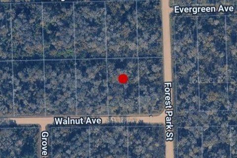 Land in Bunnell, Florida № 2360481