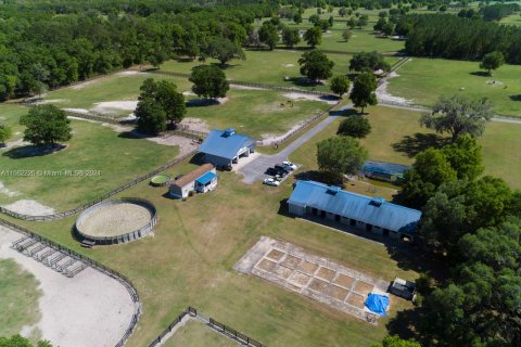 House in Ocala, Florida 4 bedrooms, 211.82 sq.m. № 1728857 - photo 25