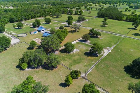 House in Ocala, Florida 4 bedrooms, 211.82 sq.m. № 1728857 - photo 9