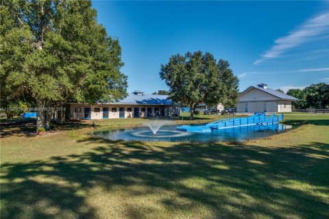 House in Ocala, Florida 4 bedrooms, 211.82 sq.m. № 1728857 - photo 16