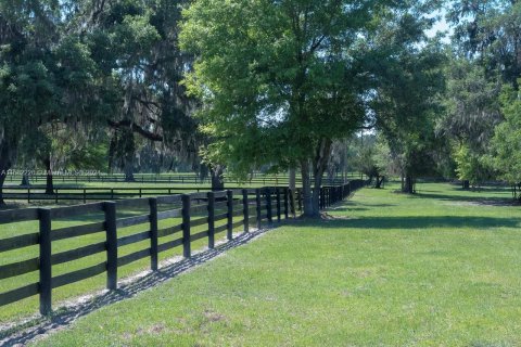 House in Ocala, Florida 4 bedrooms, 211.82 sq.m. № 1728857 - photo 30