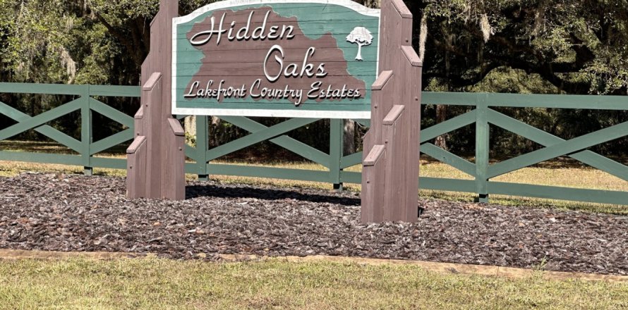 Land in Umatilla, Florida № 765882
