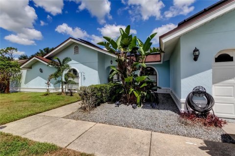 Villa ou maison à vendre à Plant City, Floride: 4 chambres, 188.31 m2 № 1916334 - photo 9