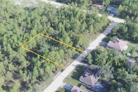 Land in Weeki Wachee, Florida № 2291448