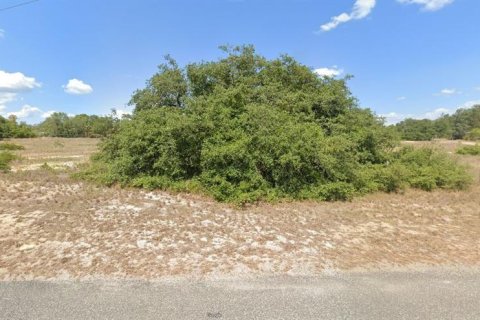 Land in Babson Park, Florida № 2158943 - photo 2