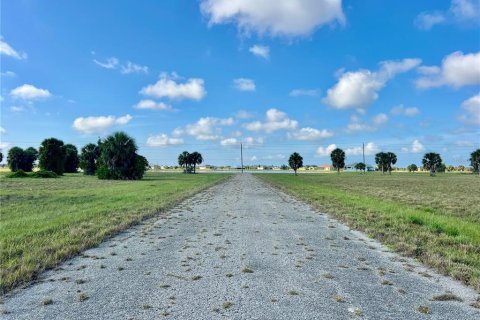 Land in Placida, Florida № 2159862 - photo 7
