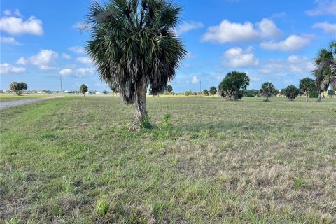 Land in Placida, Florida № 2159862 - photo 12