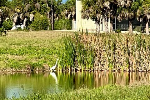 Land in Placida, Florida № 2159862 - photo 18