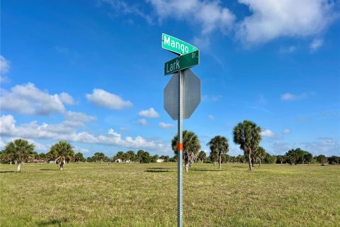 Land in Placida, Florida № 2159862 - photo 9
