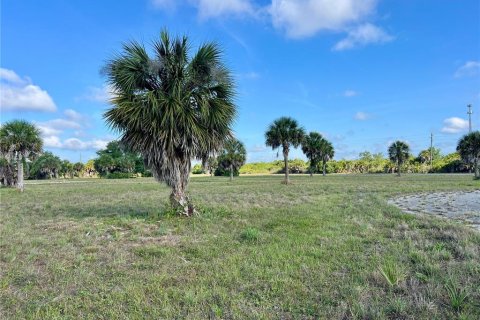 Land in Placida, Florida № 2159862 - photo 11