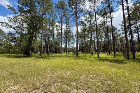 Terrain à vendre à Eustis, Floride № 2147834 - photo 22