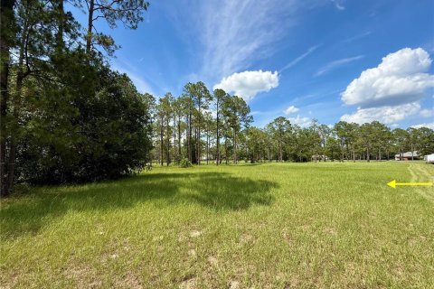 Terrain à vendre à Eustis, Floride № 2147834 - photo 24
