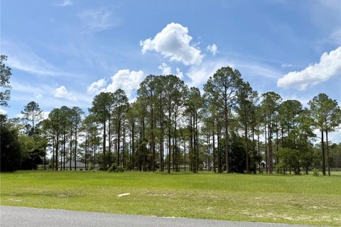 Terrain à vendre à Eustis, Floride № 2147834 - photo 6