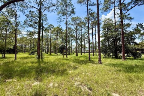 Terrain à vendre à Eustis, Floride № 2147834 - photo 8