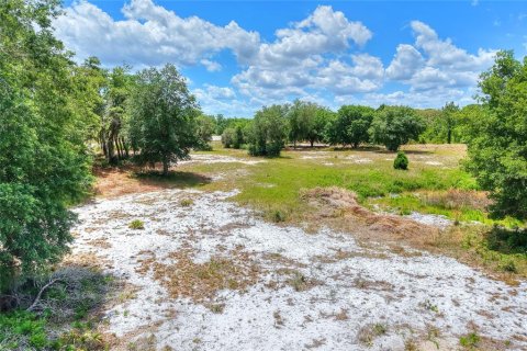 Land in Lake Wales, Florida № 2103392 - photo 28