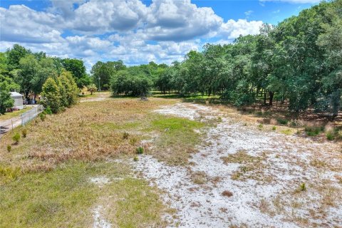 Land in Lake Wales, Florida № 2103392 - photo 29