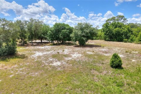 Land in Lake Wales, Florida № 2103392 - photo 30